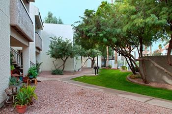 Professional landscaping